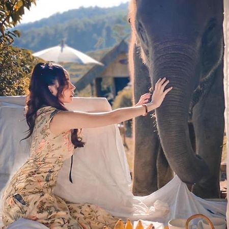 3 Pok Maewang Jinxiang Gold Elephant Park Mae Wang Exteriér fotografie