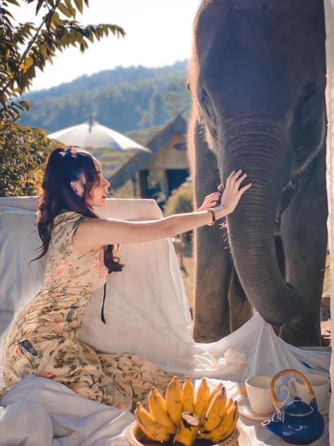 3 Pok Maewang Jinxiang Gold Elephant Park Mae Wang Exteriér fotografie