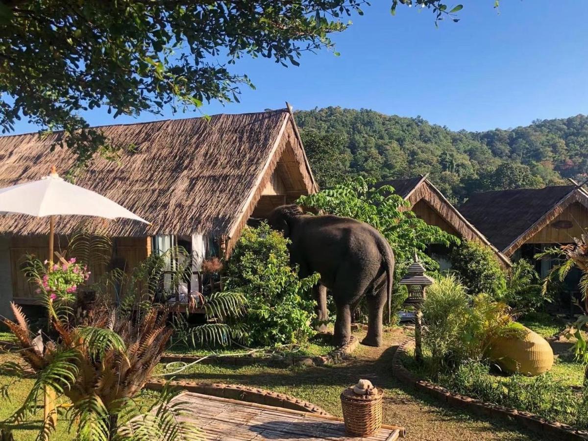3 Pok Maewang Jinxiang Gold Elephant Park Mae Wang Exteriér fotografie