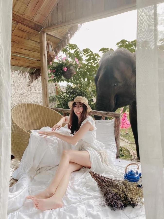 3 Pok Maewang Jinxiang Gold Elephant Park Mae Wang Exteriér fotografie