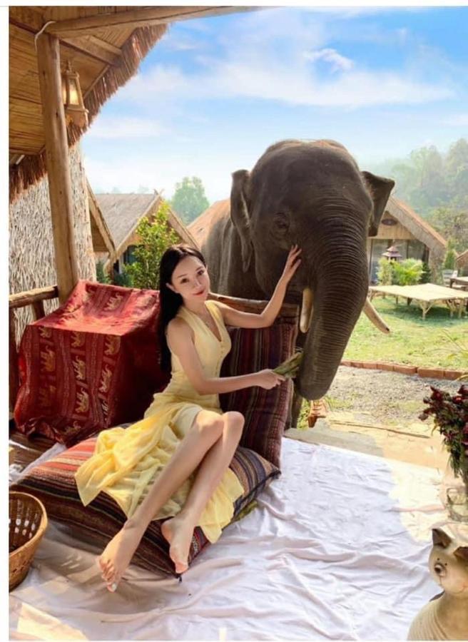 3 Pok Maewang Jinxiang Gold Elephant Park Mae Wang Exteriér fotografie