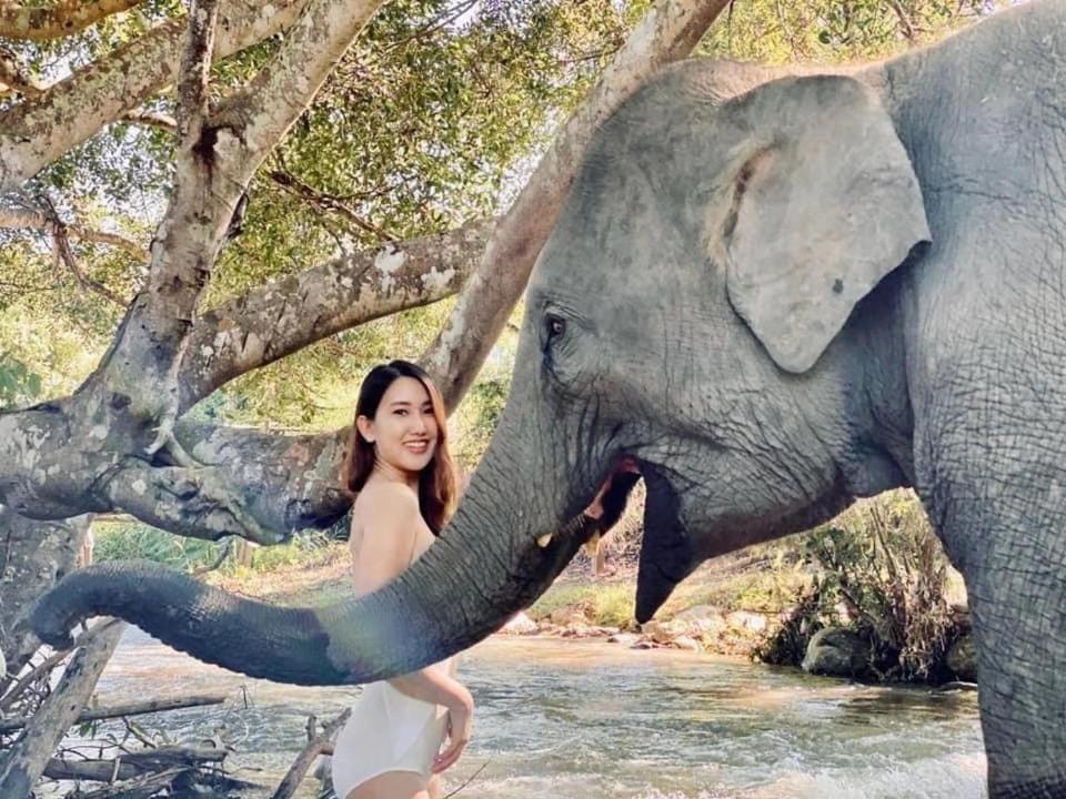 3 Pok Maewang Jinxiang Gold Elephant Park Mae Wang Exteriér fotografie