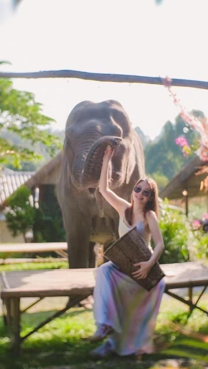 3 Pok Maewang Jinxiang Gold Elephant Park Mae Wang Exteriér fotografie