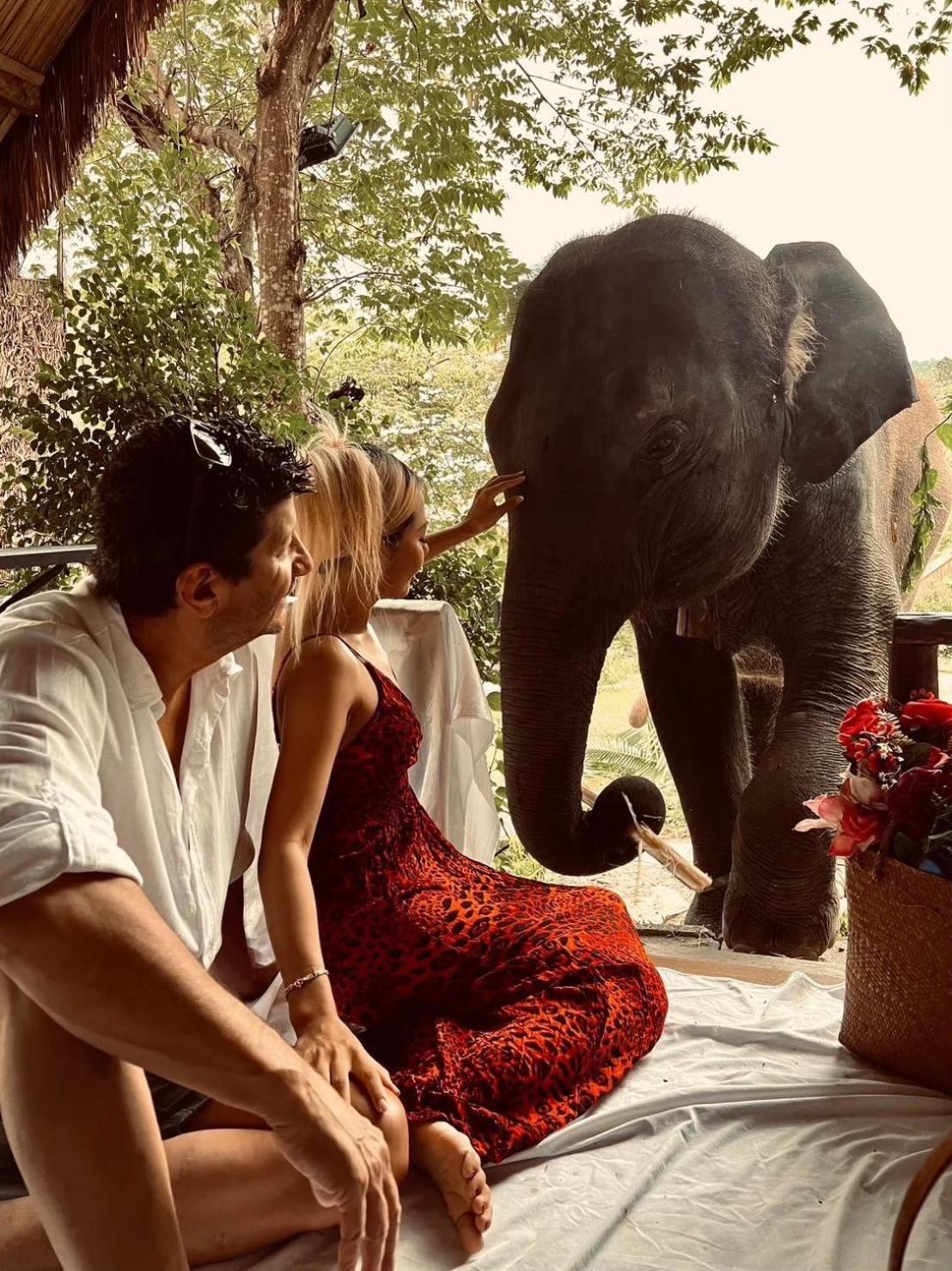 3 Pok Maewang Jinxiang Gold Elephant Park Mae Wang Exteriér fotografie