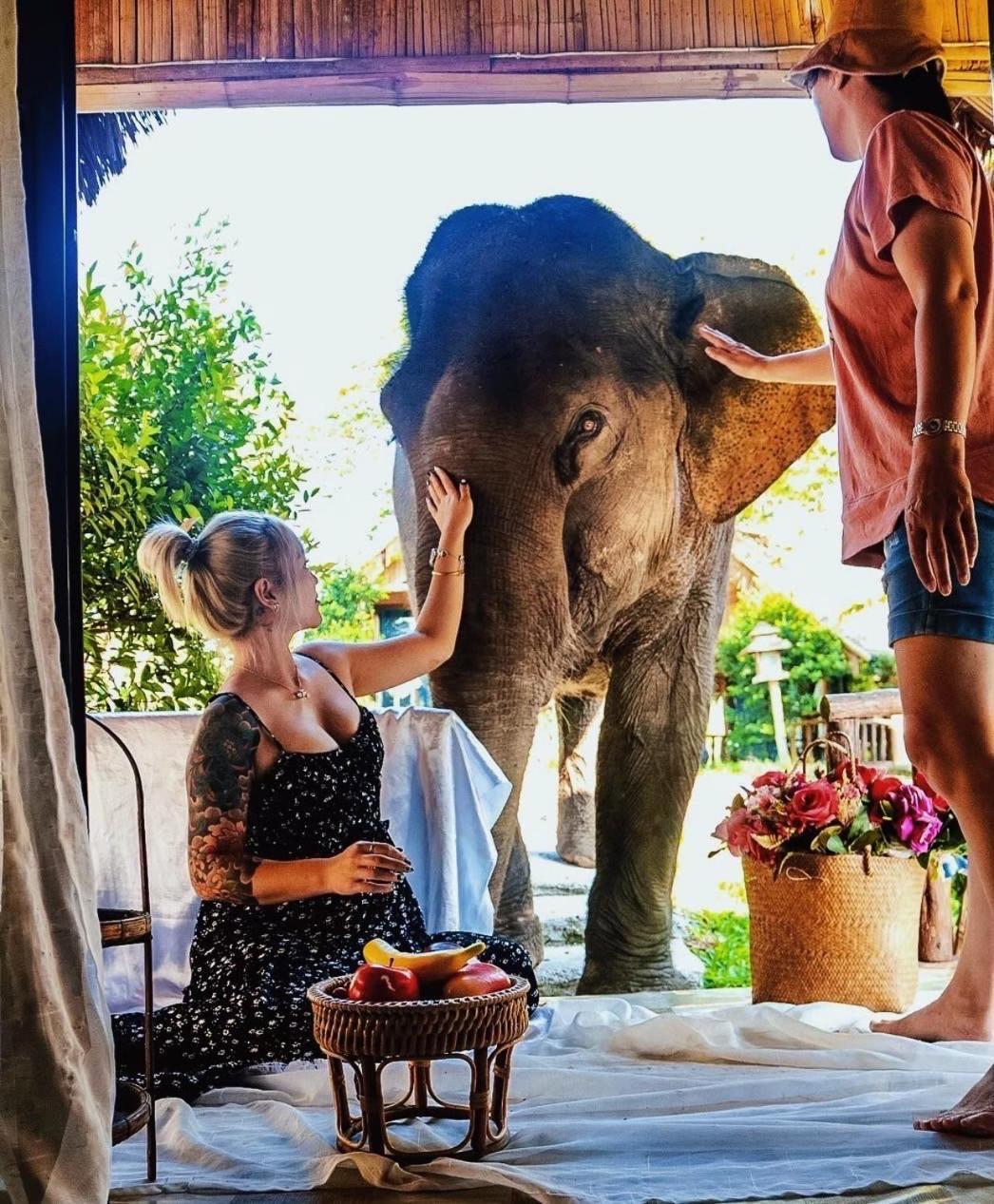 3 Pok Maewang Jinxiang Gold Elephant Park Mae Wang Exteriér fotografie