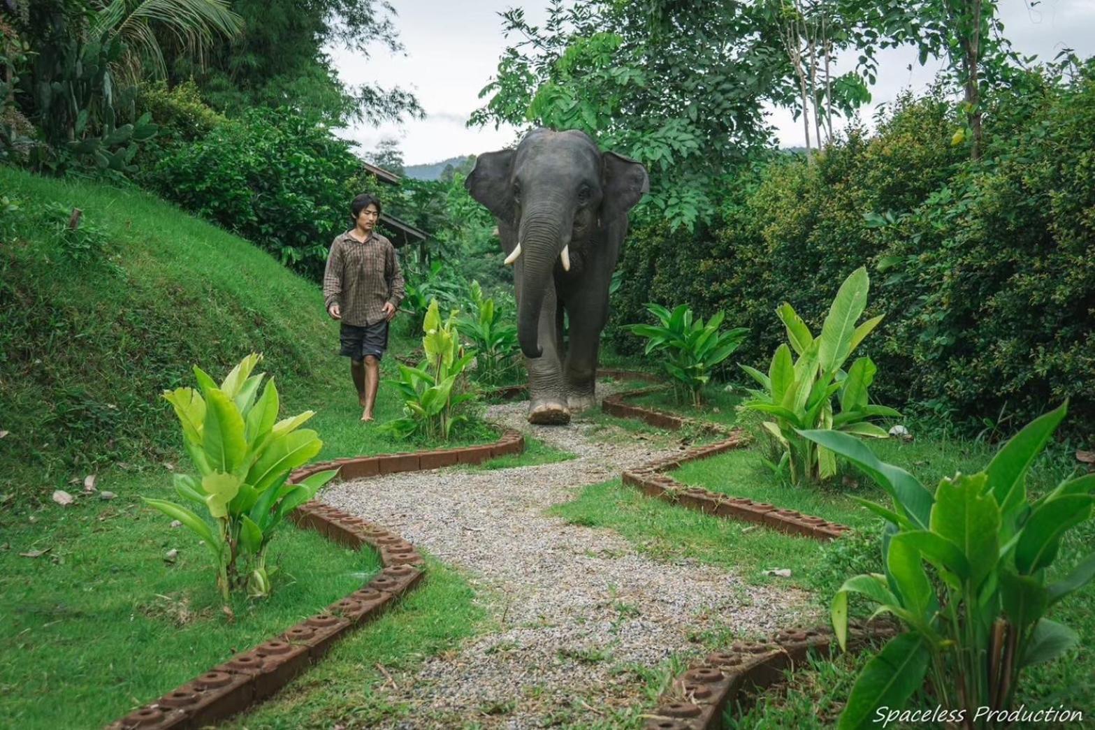 3 Pok Maewang Jinxiang Gold Elephant Park Mae Wang Exteriér fotografie