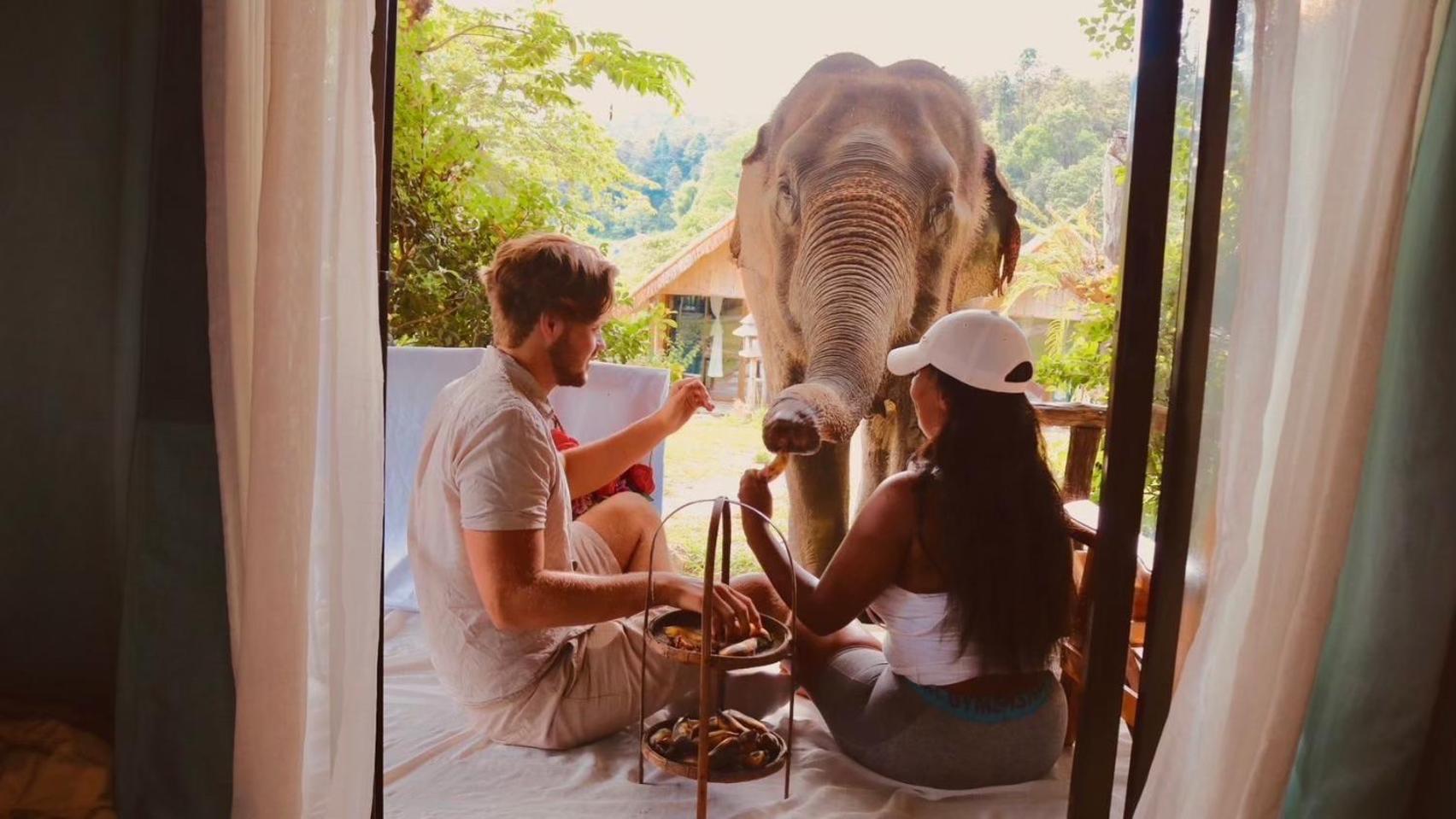 3 Pok Maewang Jinxiang Gold Elephant Park Mae Wang Exteriér fotografie