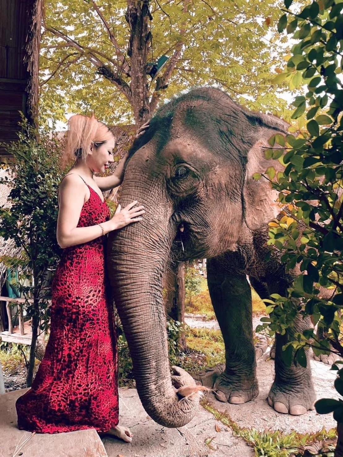 3 Pok Maewang Jinxiang Gold Elephant Park Mae Wang Exteriér fotografie