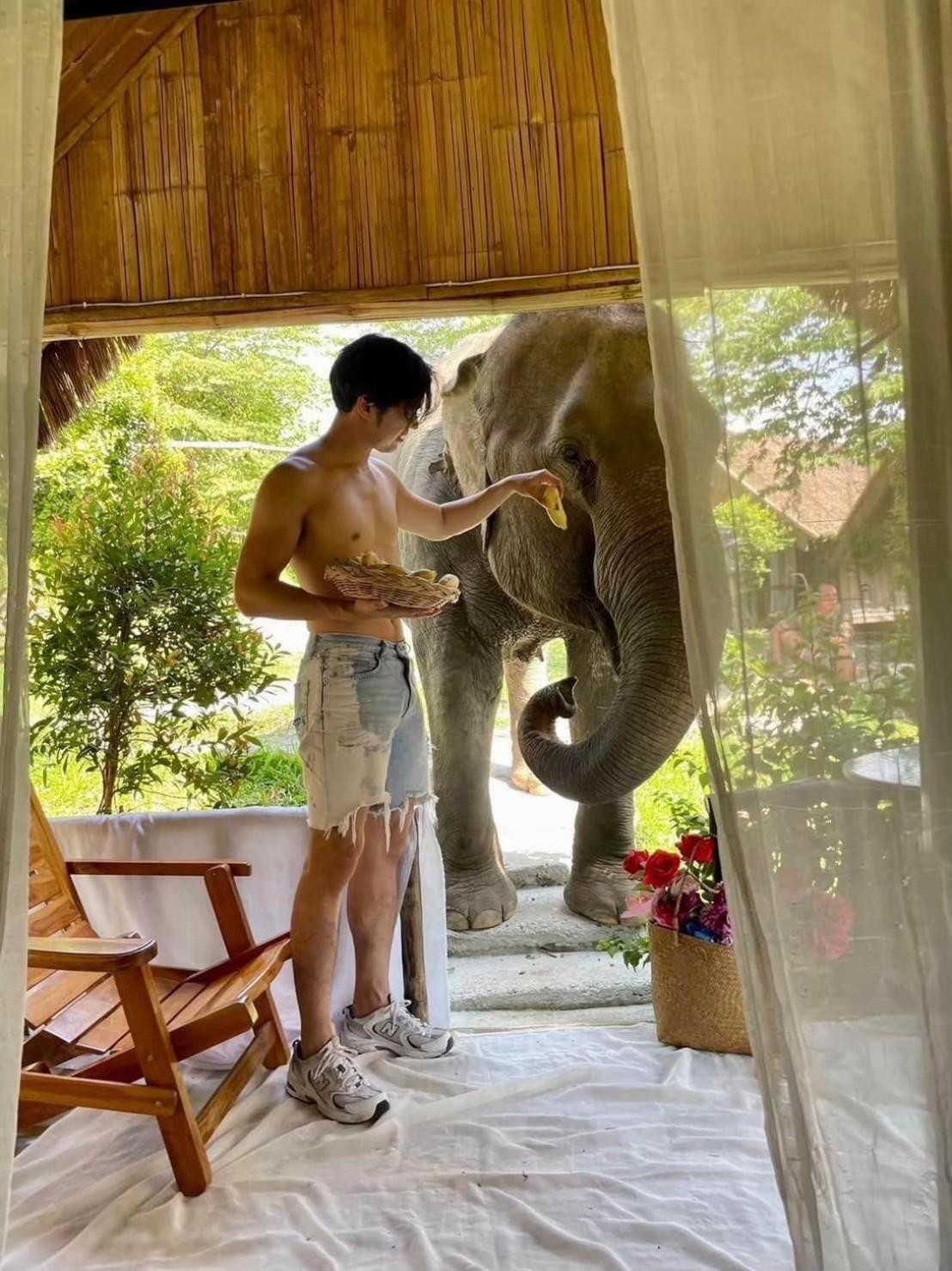3 Pok Maewang Jinxiang Gold Elephant Park Mae Wang Exteriér fotografie