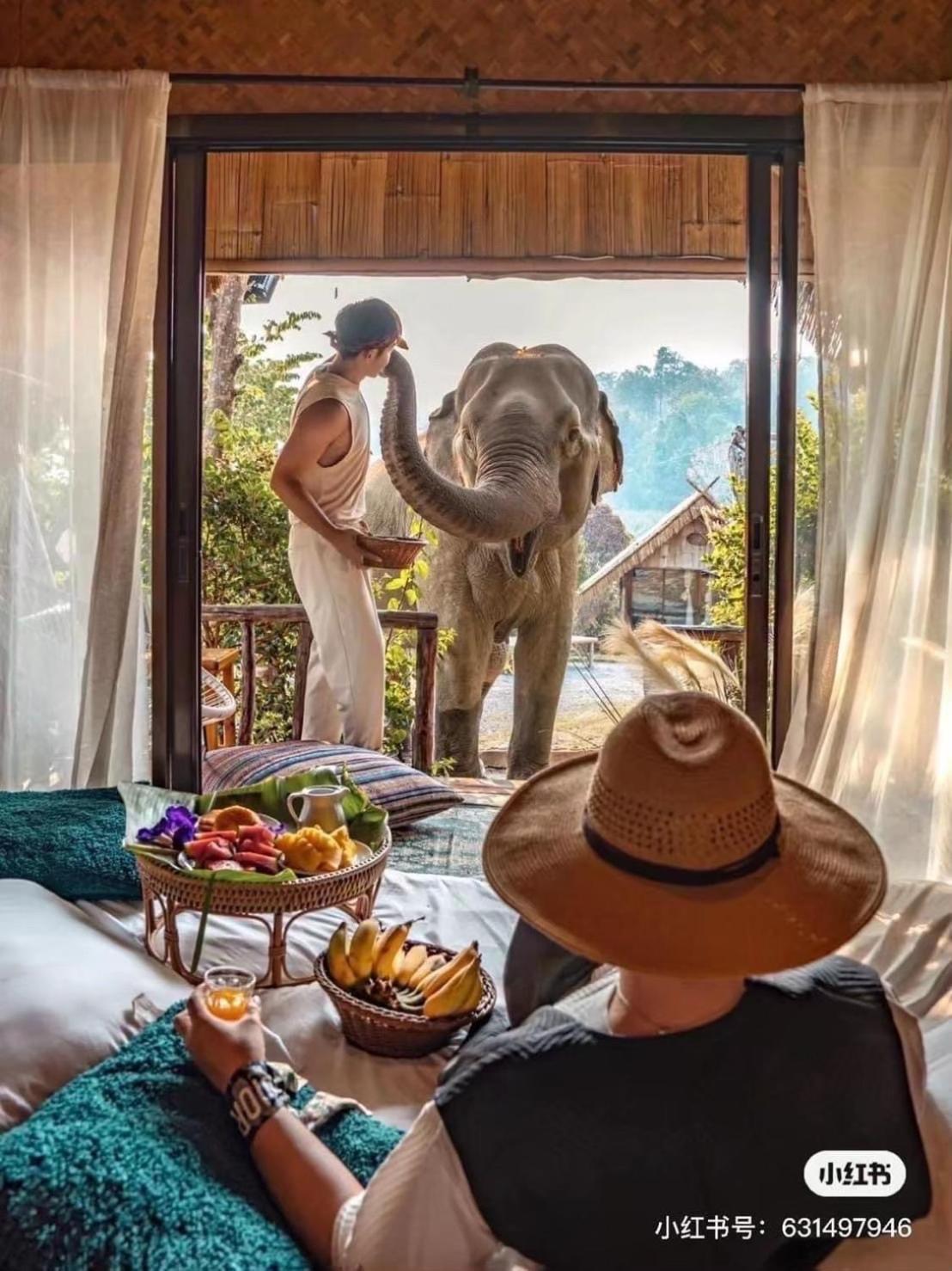 3 Pok Maewang Jinxiang Gold Elephant Park Mae Wang Exteriér fotografie