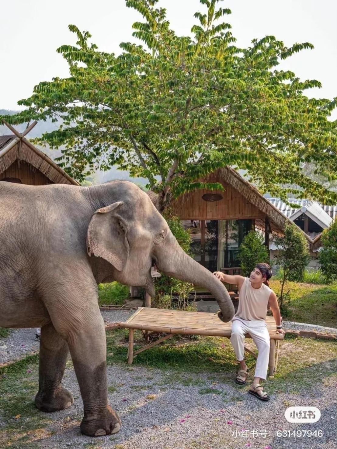 3 Pok Maewang Jinxiang Gold Elephant Park Mae Wang Exteriér fotografie