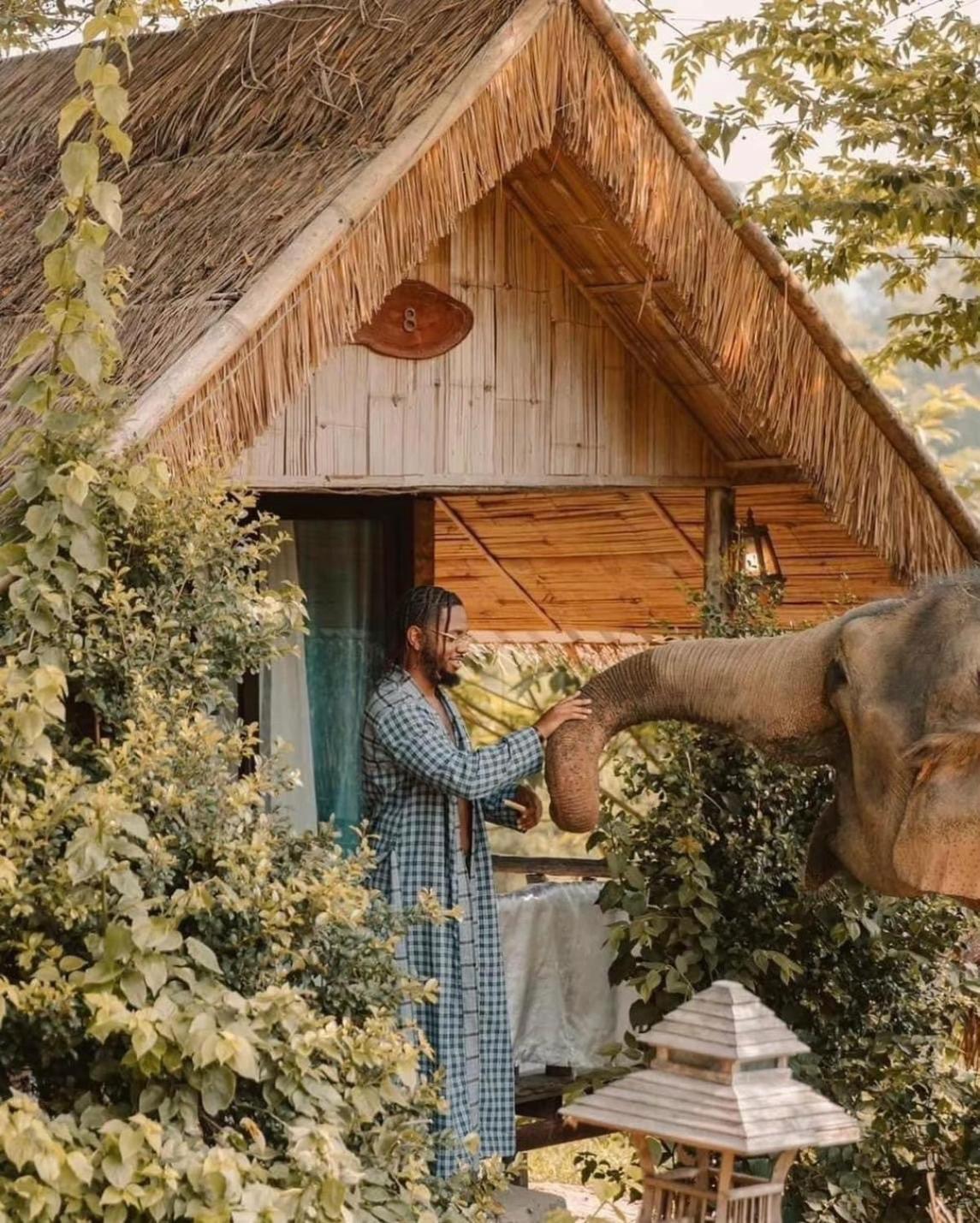 3 Pok Maewang Jinxiang Gold Elephant Park Mae Wang Exteriér fotografie