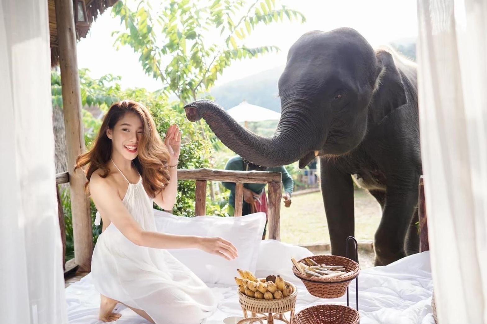 3 Pok Maewang Jinxiang Gold Elephant Park Mae Wang Exteriér fotografie